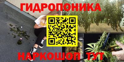 PSILOCYBIN Кимры