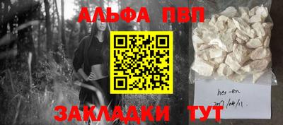 дживик Кингисепп