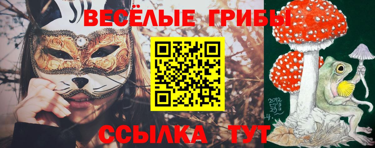 Галлюциногенные грибы прущие грибы Коркино